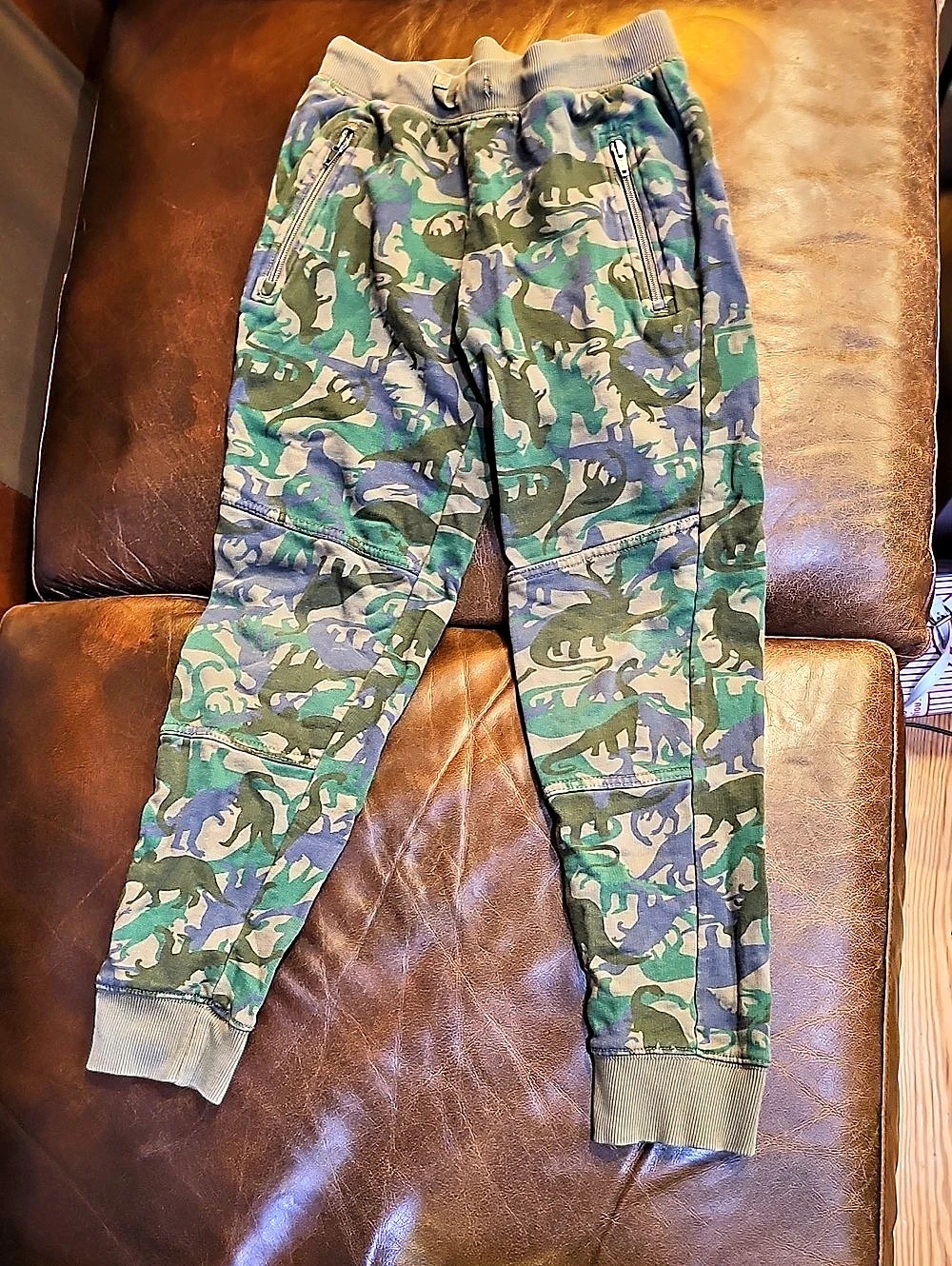 Hanna Andersson Dinosaur Camo Joggers Green & Blue Boys Size 10